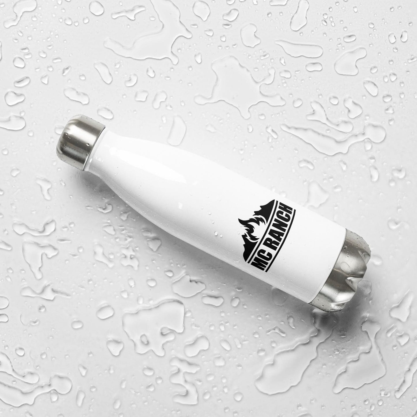 Stainless Steel Water Bottle